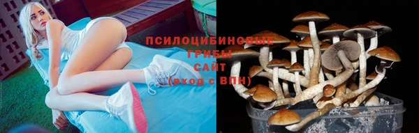 ALPHA-PVP Архангельск
