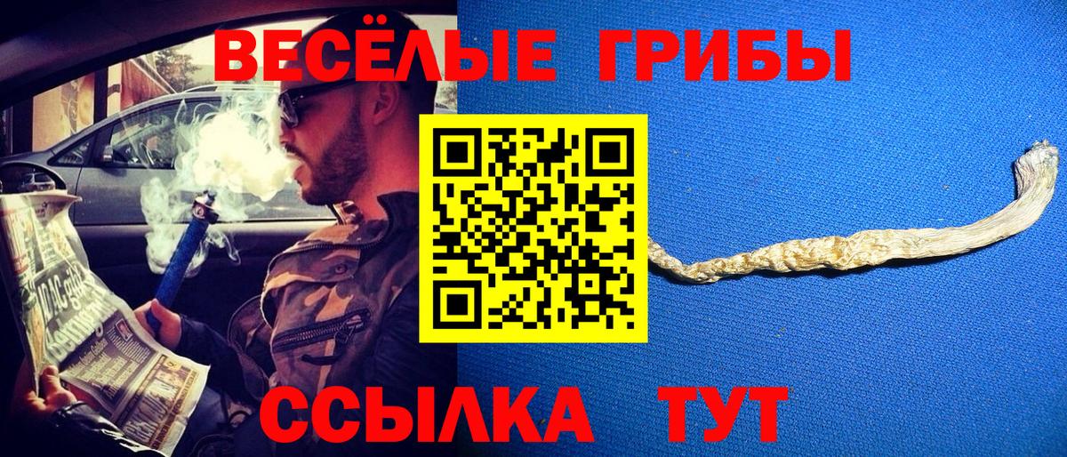 Галлюциногенные грибы Psilocybine cubensis  Вход с VPN  Лесозаводск 
